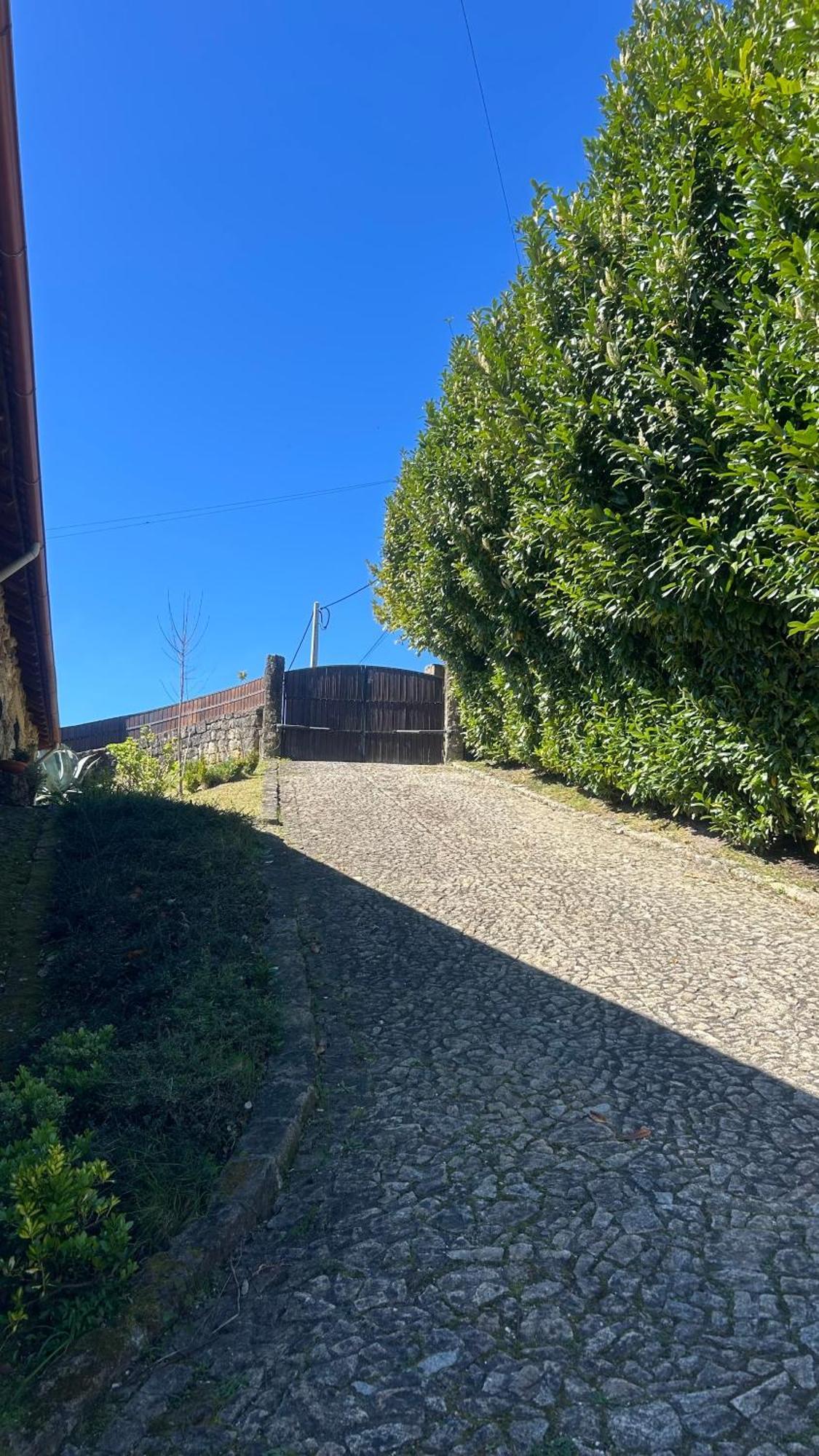 Casa Das Andorinhas Celorico De Basto Exterior foto